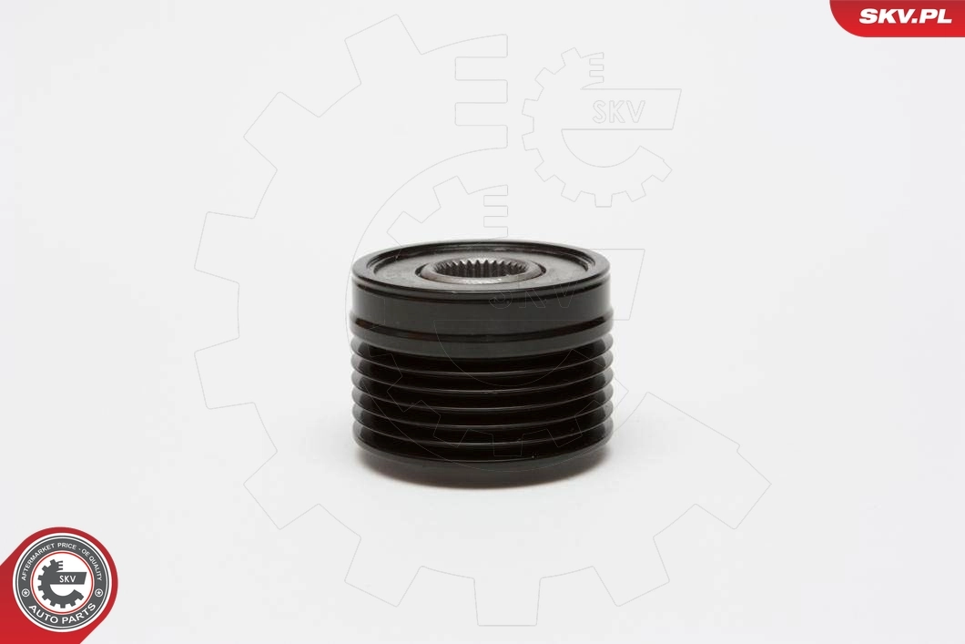 Alternator Freewheel Clutch